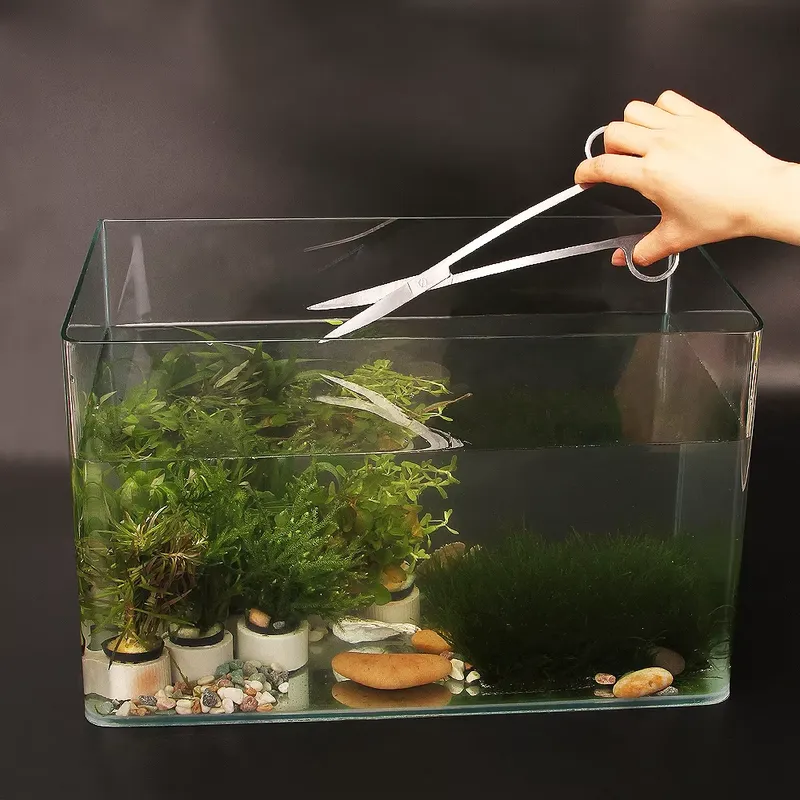 Aquarium Fish Popular - 人気の水槽ツールキット、水槽アクセサリー、ギフトボックス付きの魚タンク水槽アクセサリー