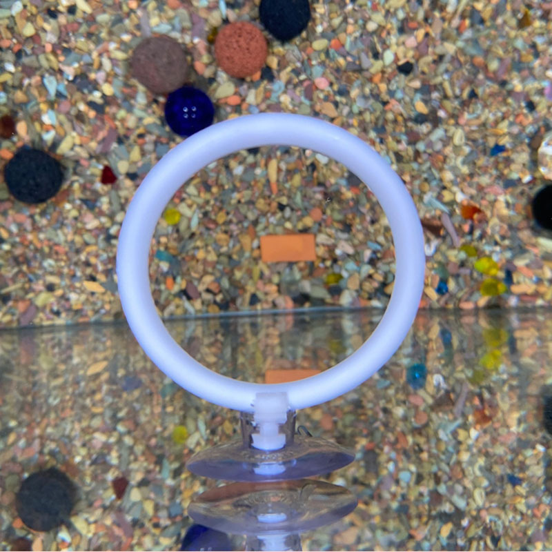 Fish Toys For Aquarium - 1個入り プラスチック製水槽用人工トレーニングリングフープセット 吸盤付き ベタ魚用インタラクティブプレイ リラックス 隠れおもちゃ