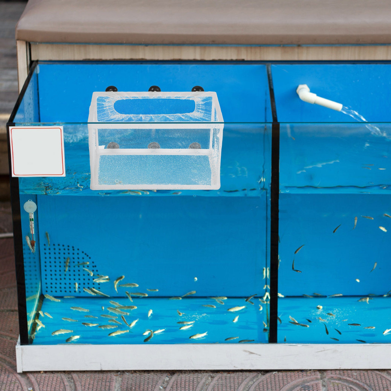 Aquarium Fish Big Size - 大型水槽用魚網 孵卵器 ポリエステルメッシュ 隔離ボックス 吸盤付き 離乳魚繁殖用サバイバル魚網