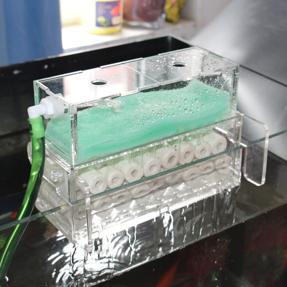 高品質の水槽フィルターボックス、ミニ水槽やカメの生息地に最適 - Aquarium Fish Keeping のレビューと価格