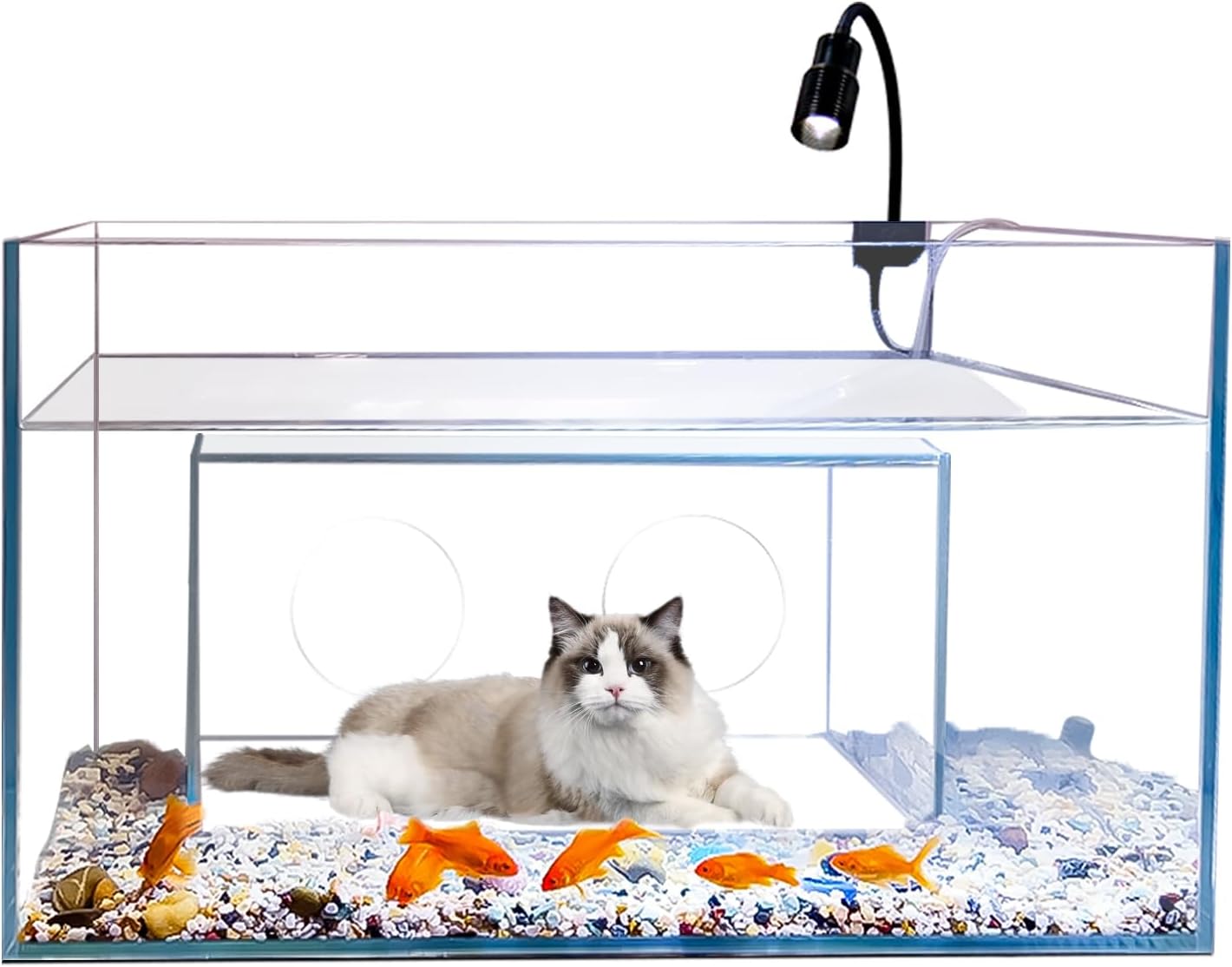 猫の家とアパート型の魚タンク、創造的な楽しい水槽、猫が小動物 - Fish Toys For Aquarium のレビューと価格