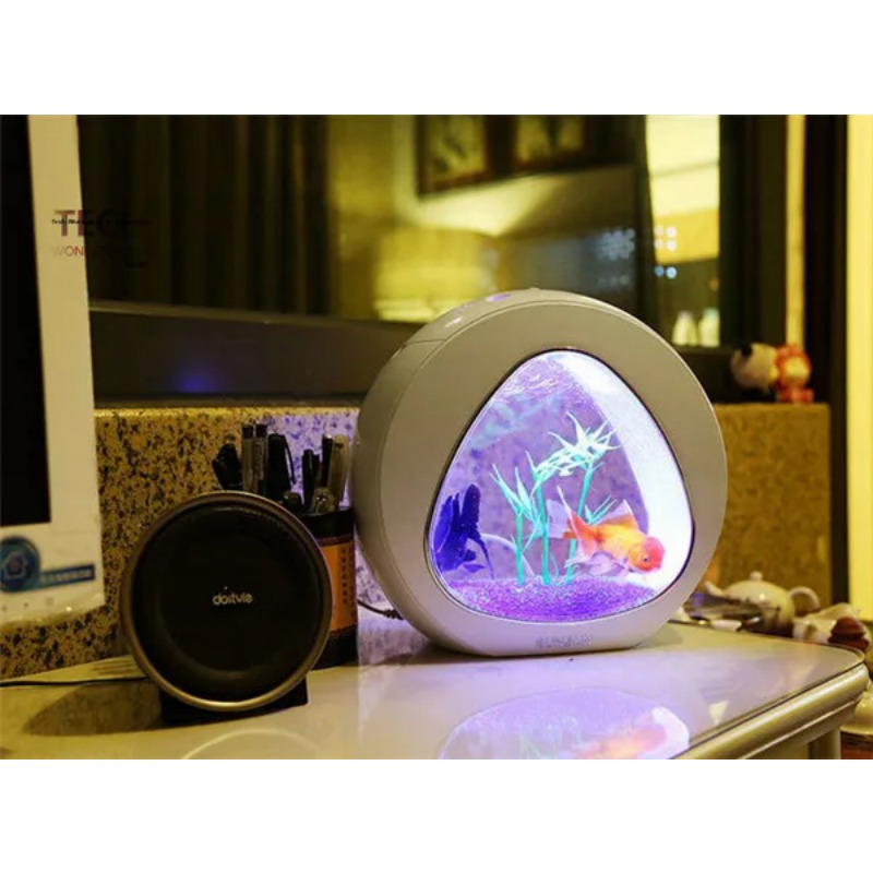 SUNSUN アクリル水族館生態水槽オフィスデスクトップクリ - Aquarium Fish Big Size のレビューと価格