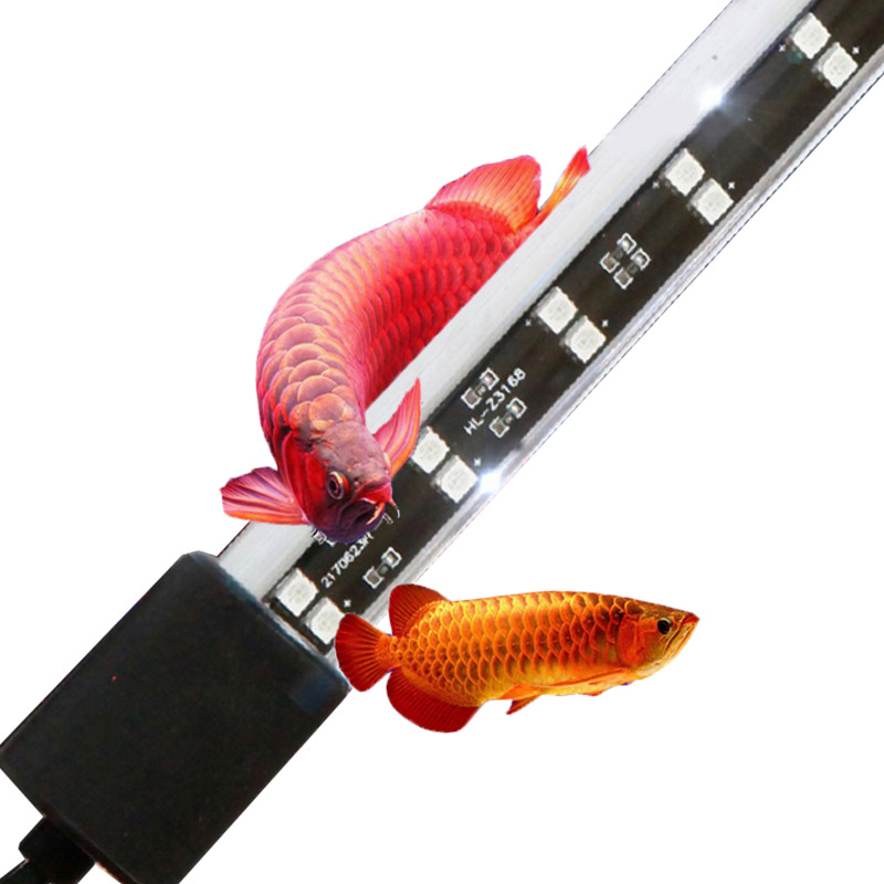 72cm 20ワット レッドアロワナ水槽ライト 定電流アダプ - Aquarium Fish Keeping のレビューと価格