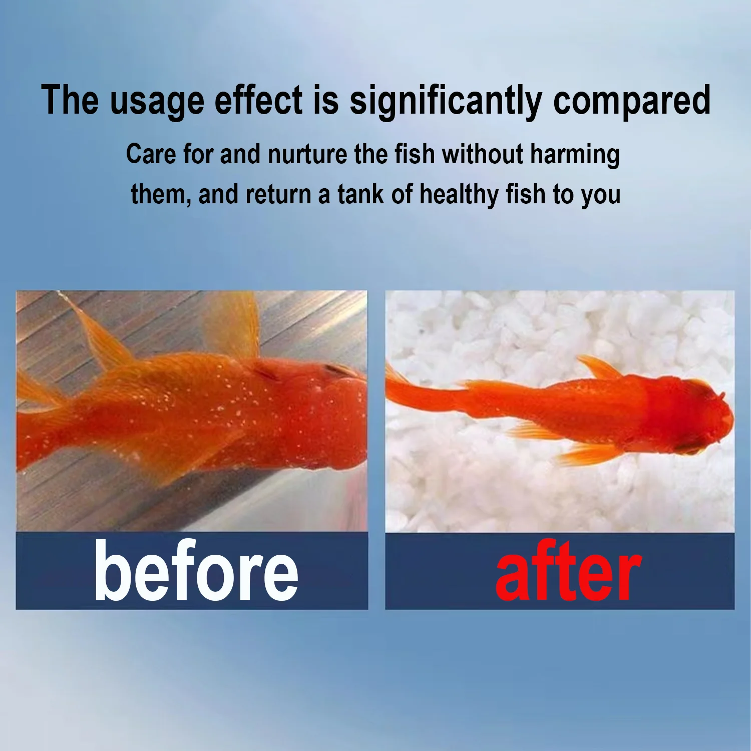プレミアムメチレンブルー魚用薬 水槽水質調整剤 抗真菌細菌感 - Aquarium Fish Medicine のレビューと価格