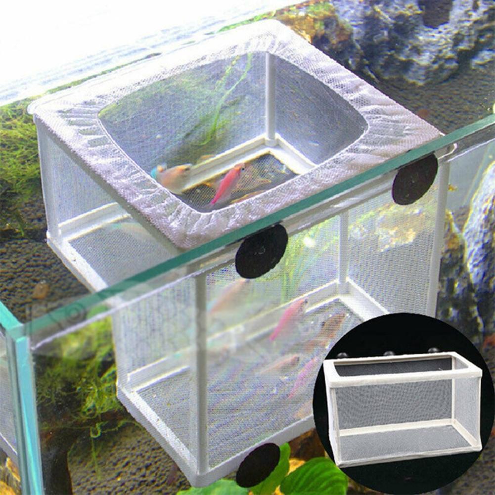 水槽用魚繁殖箱 吸盤付き - 白色プラスチック製、2サイズ展 - Aquarium Fish Medicine のレビューと価格