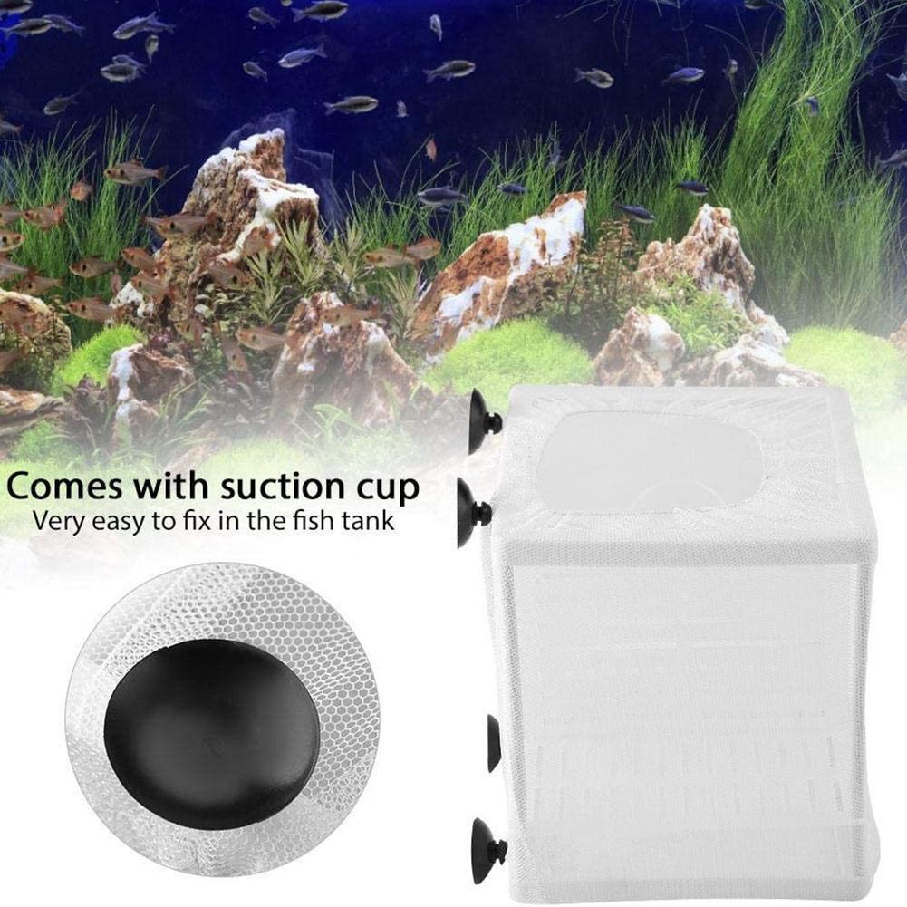 水槽用魚繁殖箱 吸盤付き - 白色プラスチック製、2サイズ展 - Aquarium Fish Medicine のレビューと価格