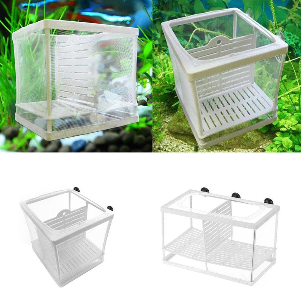 水槽用魚繁殖箱 吸盤付き - 白色プラスチック製、2サイズ展 - Aquarium Fish Medicine のレビューと価格