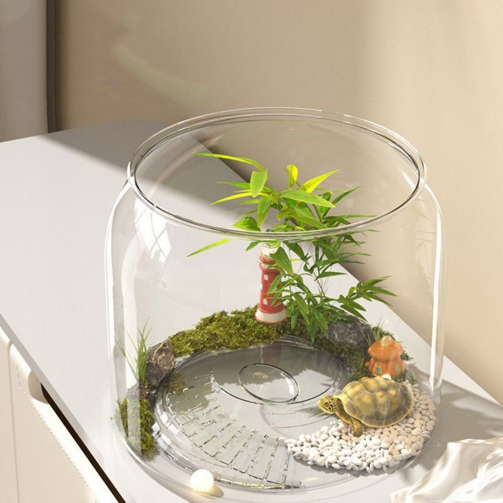 透明な丸型水槽、割れにくいプラスチック製観賞水槽、装飾的な落 - Aquarium Fish Live のレビューと価格