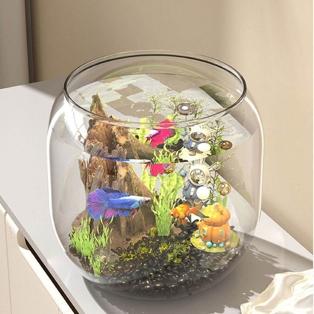 透明な丸型水槽、割れにくいプラスチック製観賞水槽、装飾的な落 - Aquarium Fish Live のレビューと価格