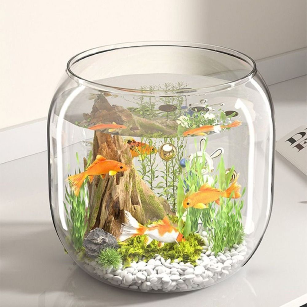 透明な丸型水槽、割れにくいプラスチック製観賞水槽、装飾的な落 - Aquarium Fish Live のレビューと価格