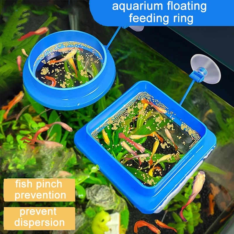 フローティングアクアリウムフィッシュフィーディングリング サ - Aquarium Fish Medicine のレビューと価格