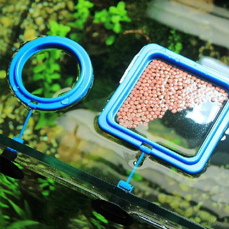 フローティングアクアリウムフィッシュフィーディングリング サ - Aquarium Fish Medicine のレビューと価格