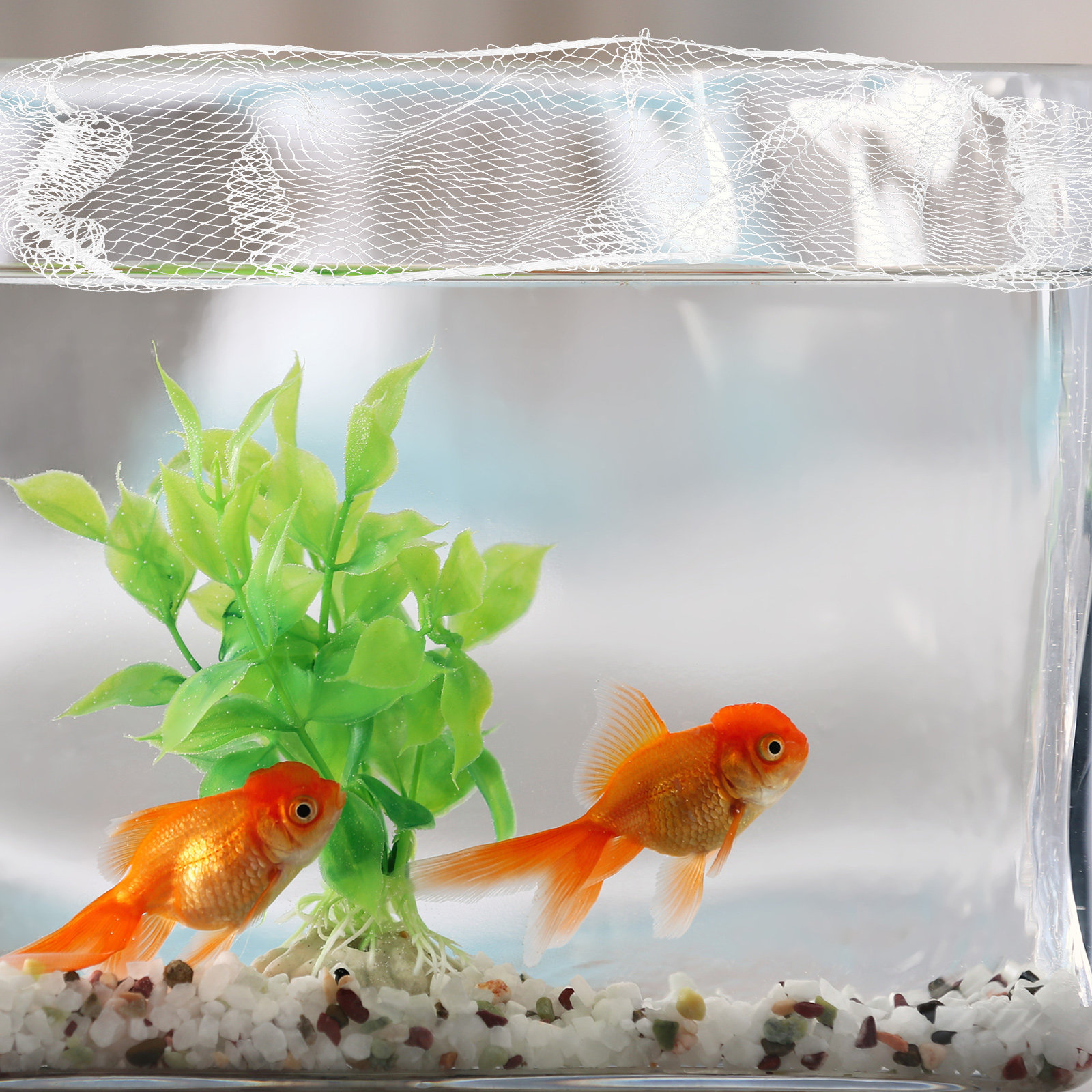 40x20cm ナイロン製水槽メッシュネットカバー、魚の飛び - Aquarium Fish Keeping のレビューと価格