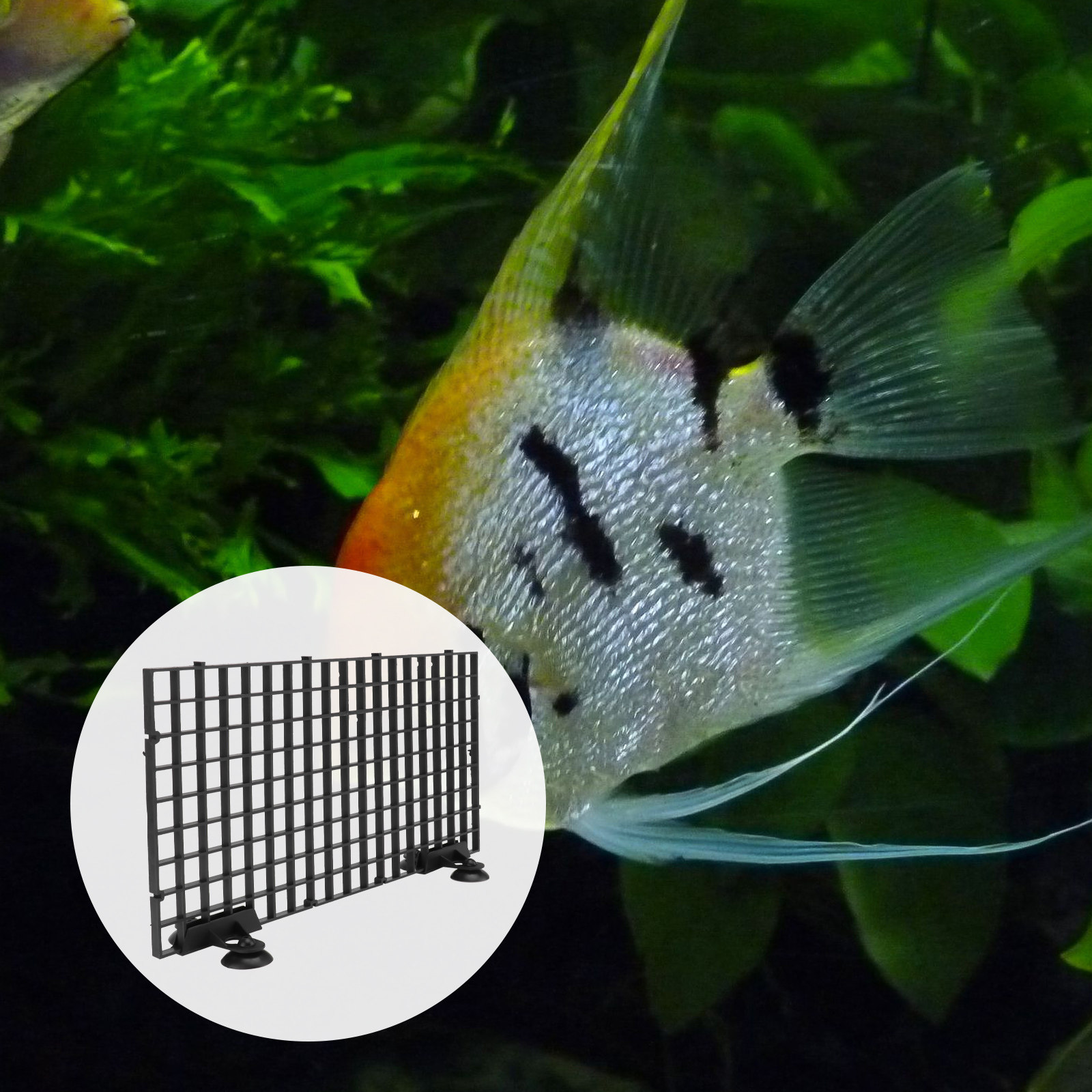 魚繁殖用ネット 大型 黒色プラスチックフィルターグリッドボー - Aquarium Fish Big Size のレビューと価格