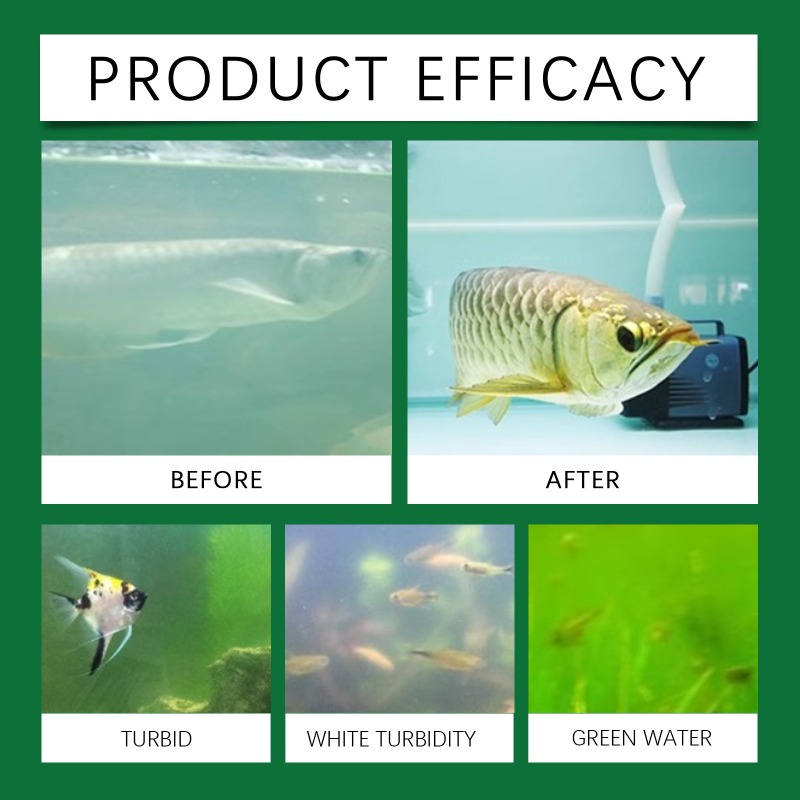 水槽用浄水タブレット 効率的な鮮度保持 簡単使用 長期安定性 - Aquarium Fish Keeping のレビューと価格