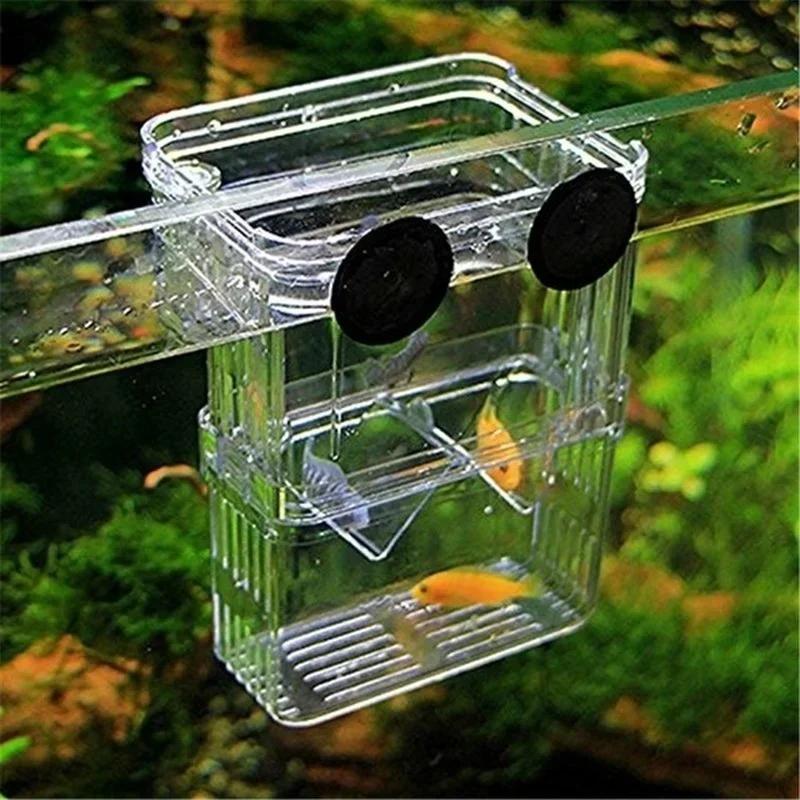 透明魚水族館高クリア繁殖分離ボックスペット用品ブリーダータン - Aquarium Fish Medicine のレビューと価格