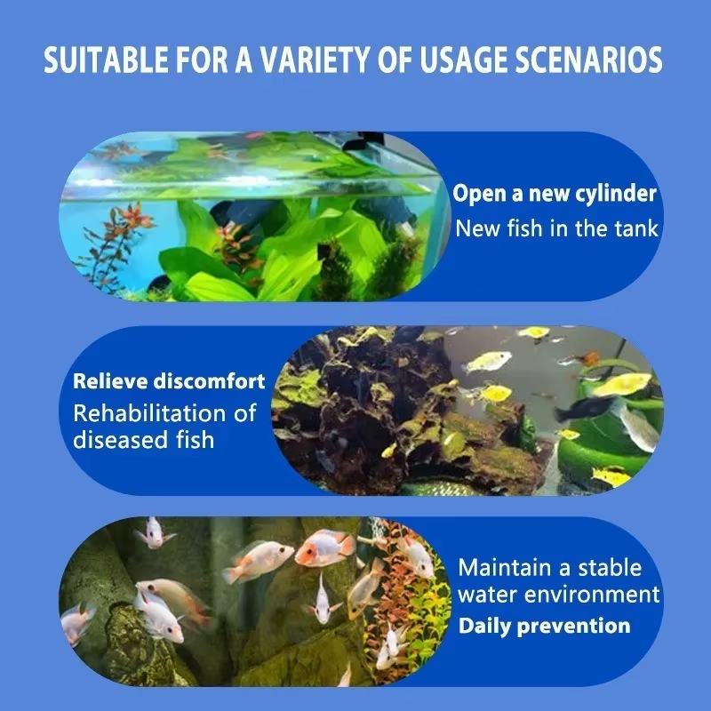 シケザン 魚病治療＆硝化細菌 |   淡水/海水用の抗炎症水 - Aquarium Fish Medicine のレビューと価格