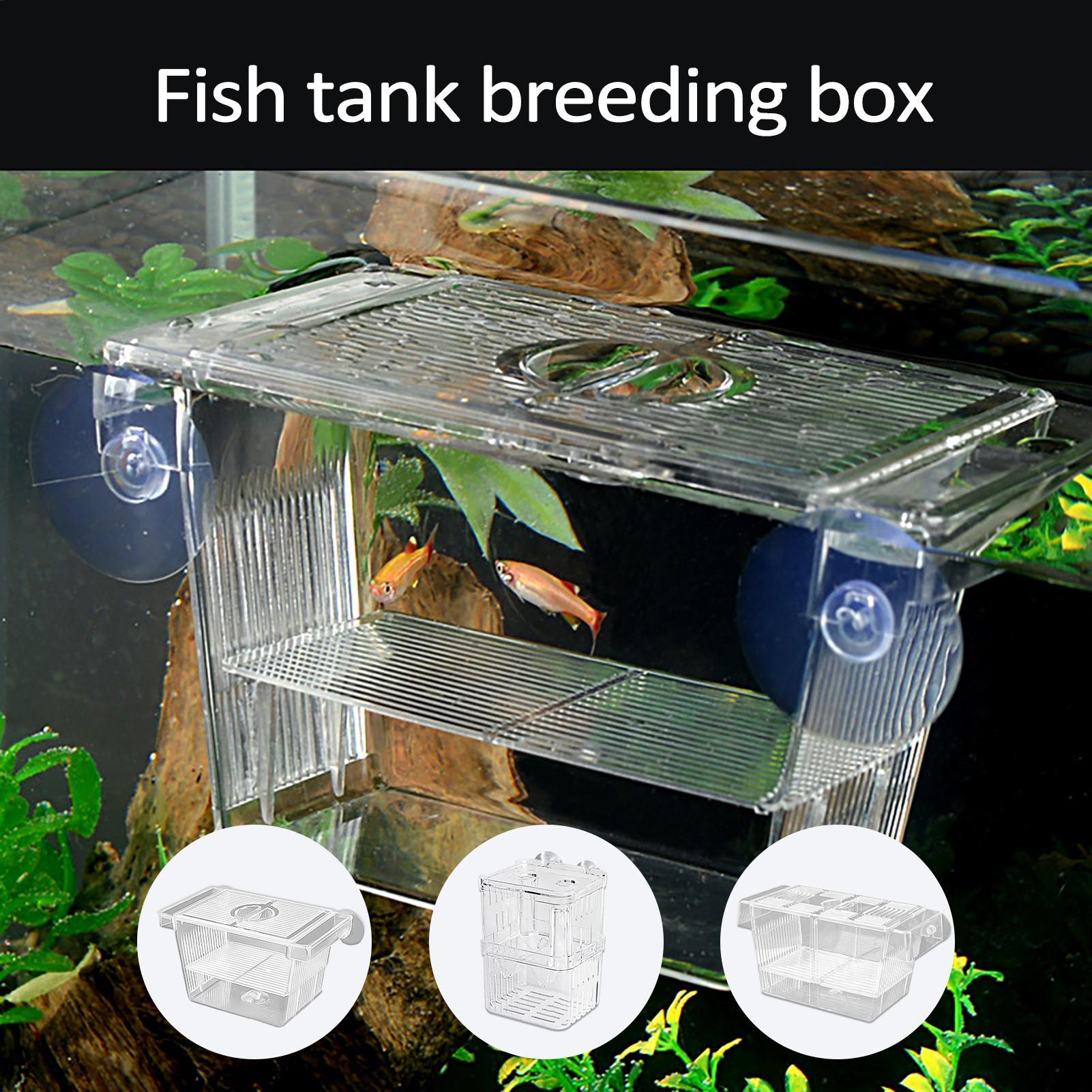 3種類のアクリル製魚繁殖隔離ボックス、ベタ魚水槽、繁殖用魚タ - Aquarium Fish Medicine のレビューと価格