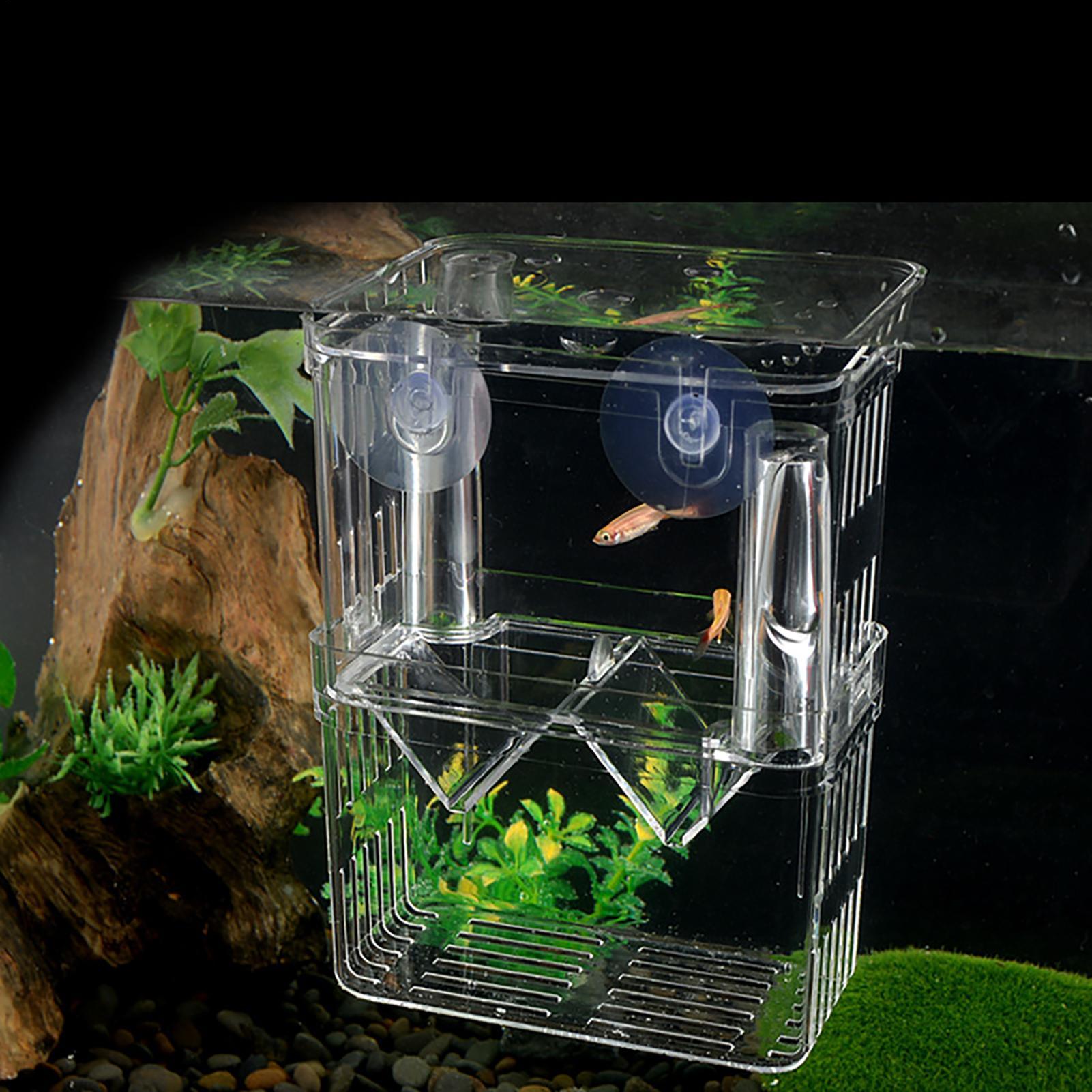 3種類のアクリル製魚繁殖隔離ボックス、ベタ魚水槽、繁殖用魚タ - Aquarium Fish Medicine のレビューと価格