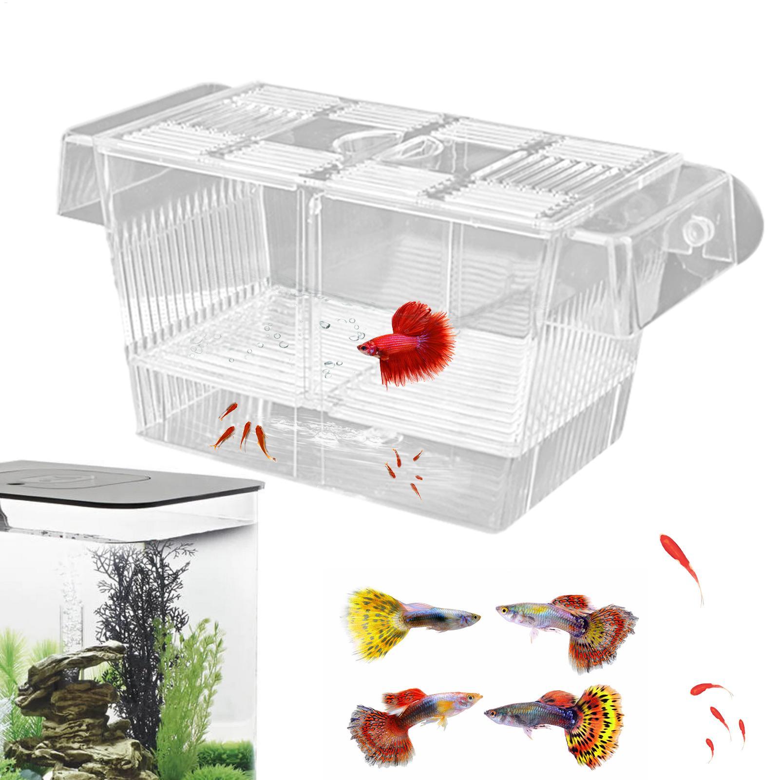 3種類のアクリル製魚繁殖隔離ボックス、ベタ魚水槽、繁殖用魚タ - Aquarium Fish Medicine のレビューと価格