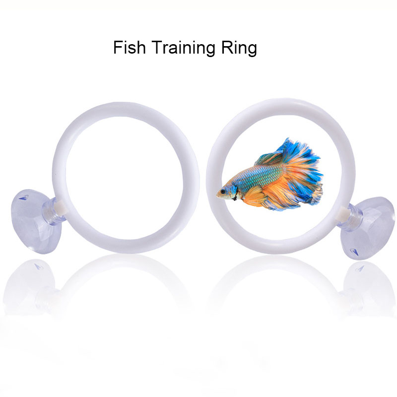 1個入り プラスチック製水槽用人工トレーニングリングフープセ - Fish Toys For Aquarium のレビューと価格