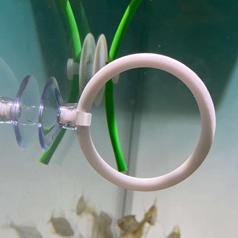 1個入り プラスチック製水槽用人工トレーニングリングフープセ - Fish Toys For Aquarium のレビューと価格