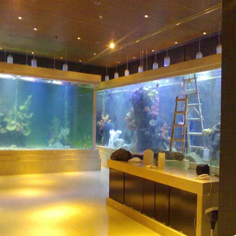アクリル製大型水槽 長方形 プラスチック製 グランドビュー  - Aquarium Fish Big Size のレビューと価格