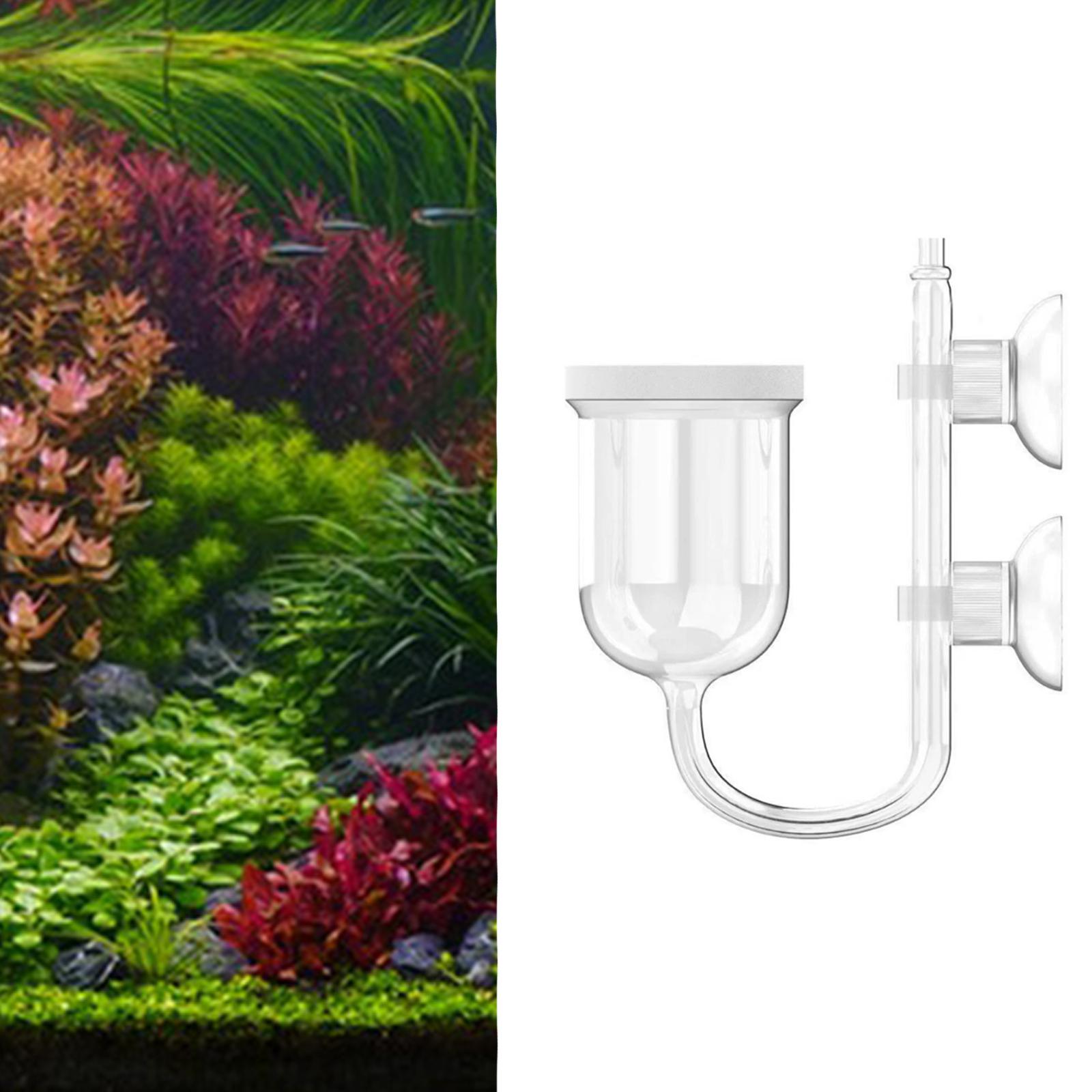水槽用CO2ディフューザー 透明ガラス製 バブルカウンター内 - Co2 Diffuser Planted のレビューと価格