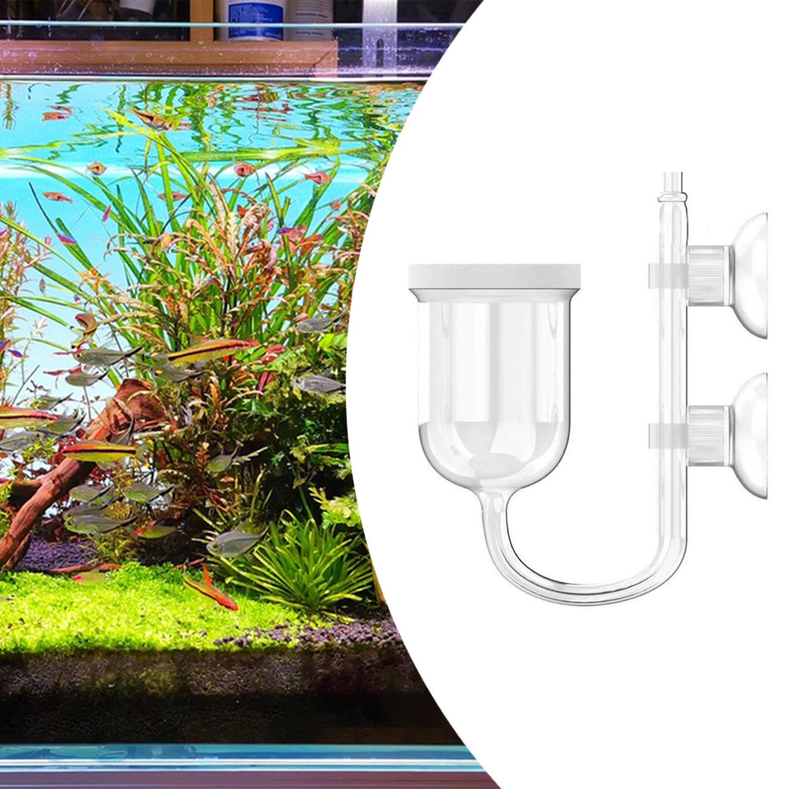 水槽用CO2ディフューザー 透明ガラス製 バブルカウンター内 - Co2 Diffuser Planted のレビューと価格