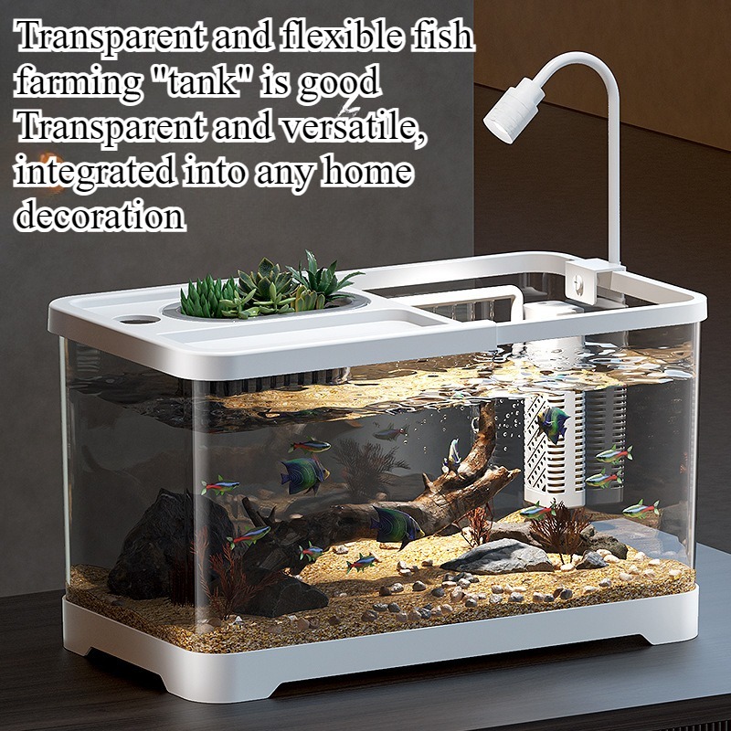 水槽 家庭用水槽 リビングルーム 卓上 生態循環水槽 フィル - Aquarium Fish Live のレビューと価格