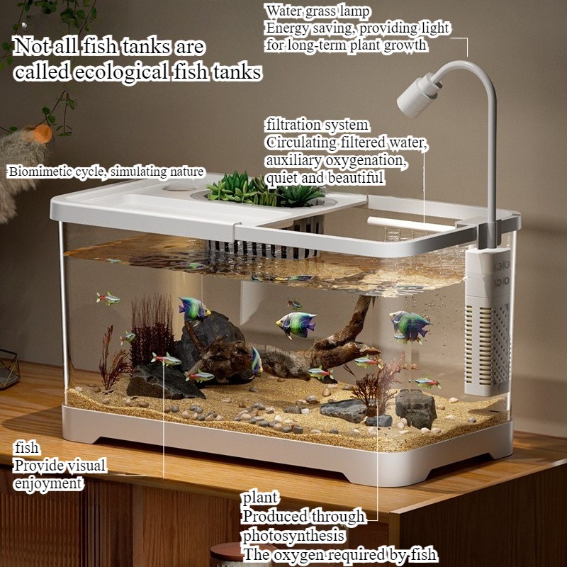 水槽 家庭用水槽 リビングルーム 卓上 生態循環水槽 フィル - Aquarium Fish Live のレビューと価格