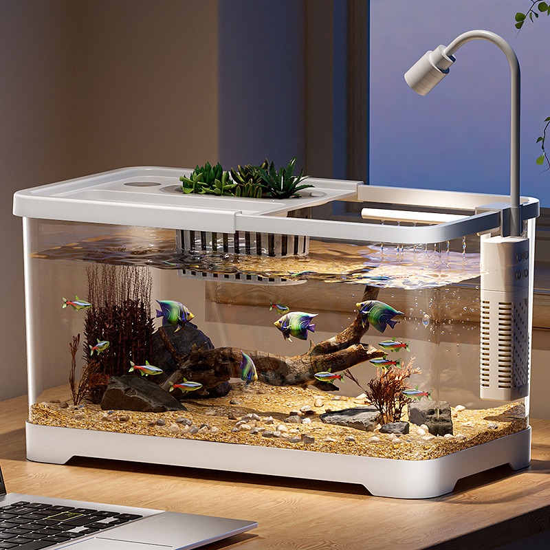 水槽 家庭用水槽 リビングルーム 卓上 生態循環水槽 フィル - Aquarium Fish Live のレビューと価格