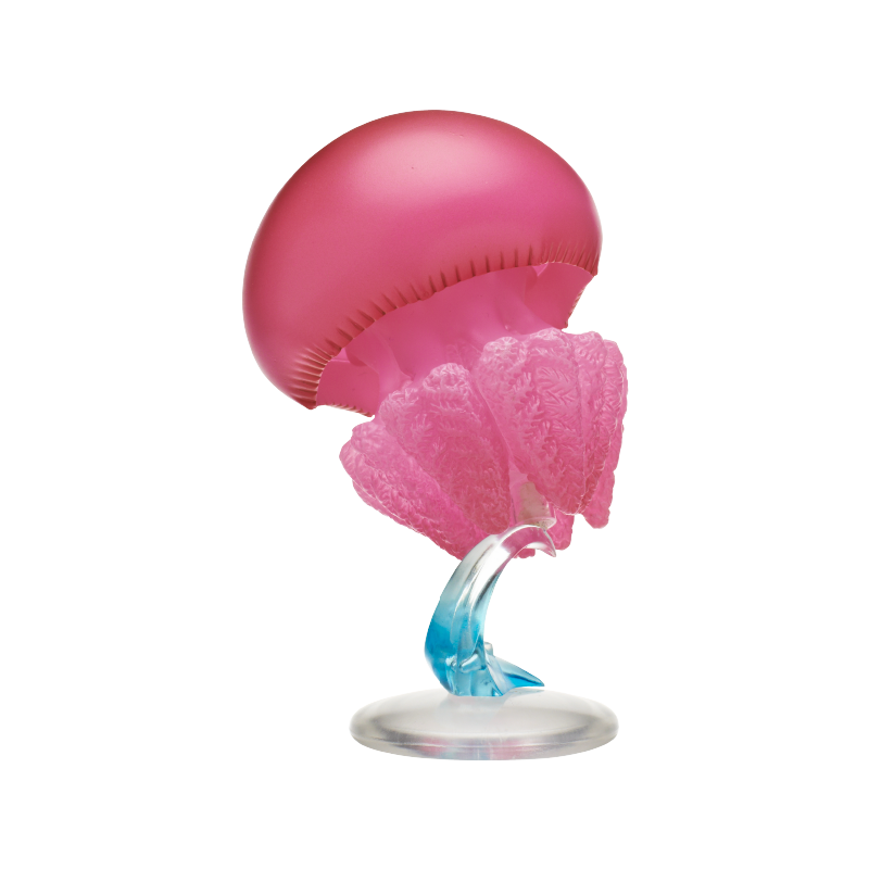 クラゲ ガシャポン フィギュア キタン 日本製 かわいい L - Fish Toys For Aquarium のレビューと価格