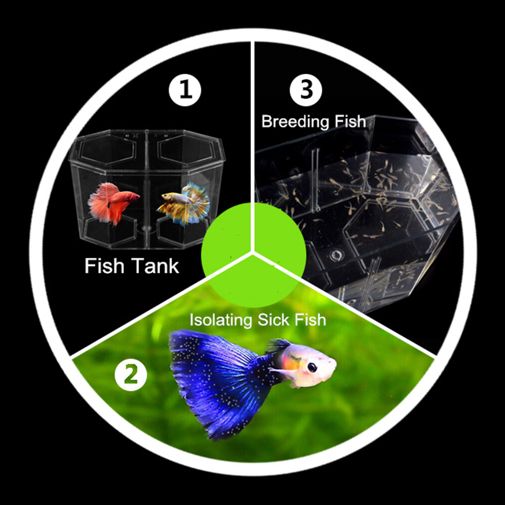 アクリル 2 分割グッピー水槽水族館ベタ金魚鉢透明水族館孵化 - Aquarium Fish Medicine のレビューと価格