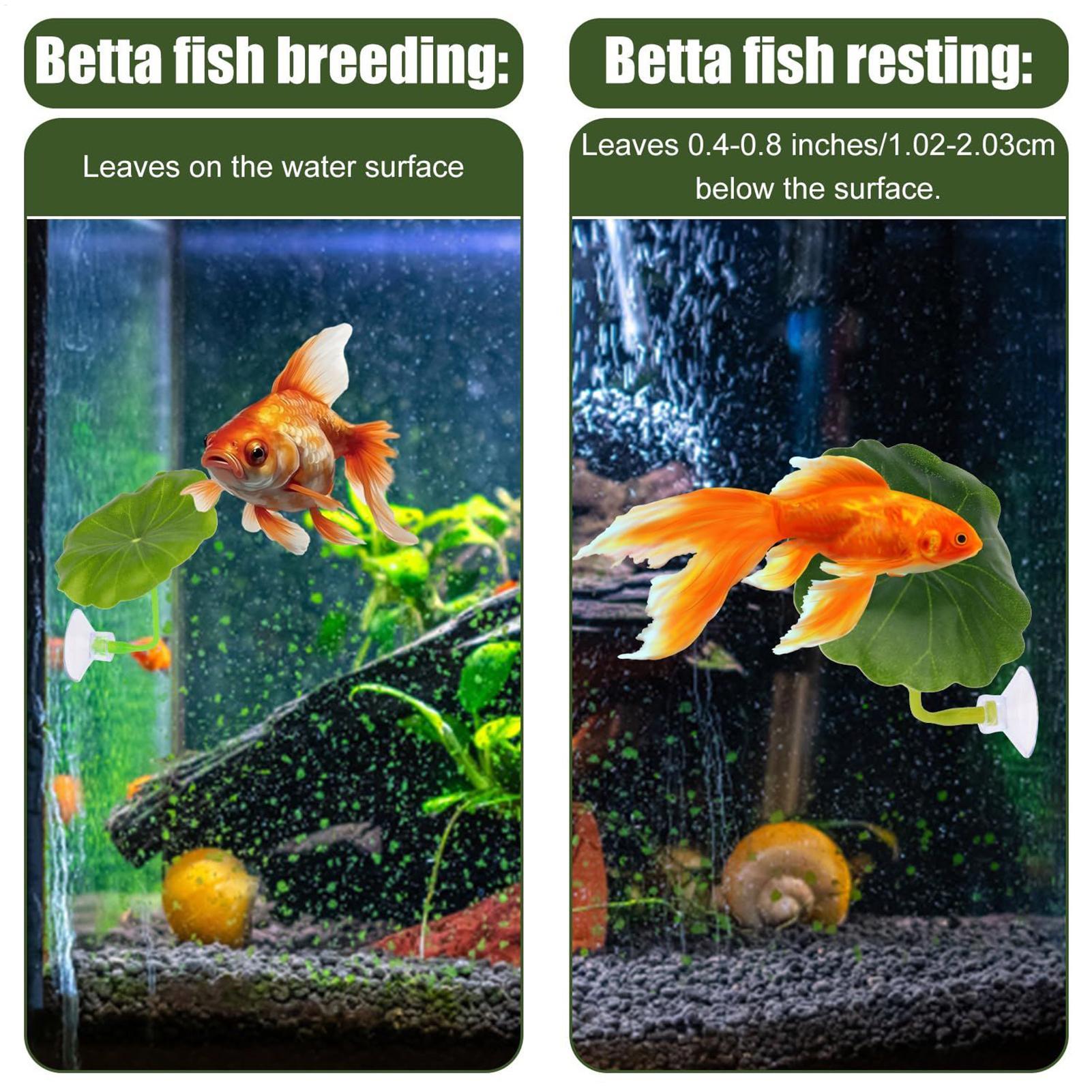 ベタ魚ハンモック 5個セット 調節可能なベタリーフハンモック - Fish Toys For Aquarium のレビューと価格
