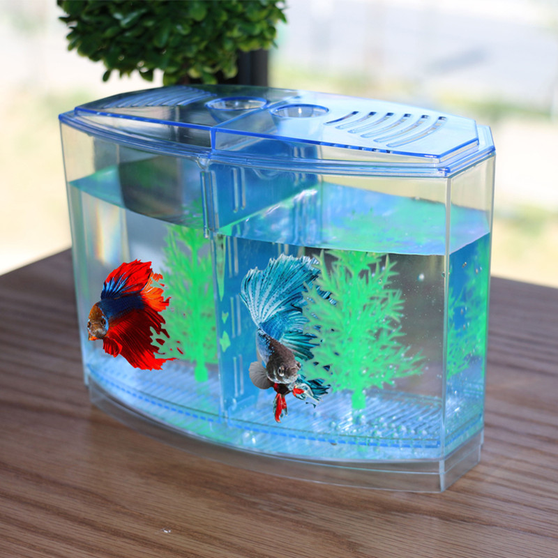 魚を捕まえるための創造的なおもちゃ,分離ボックス,魚と戦うた - Aquarium Fish Keeping のレビューと価格
