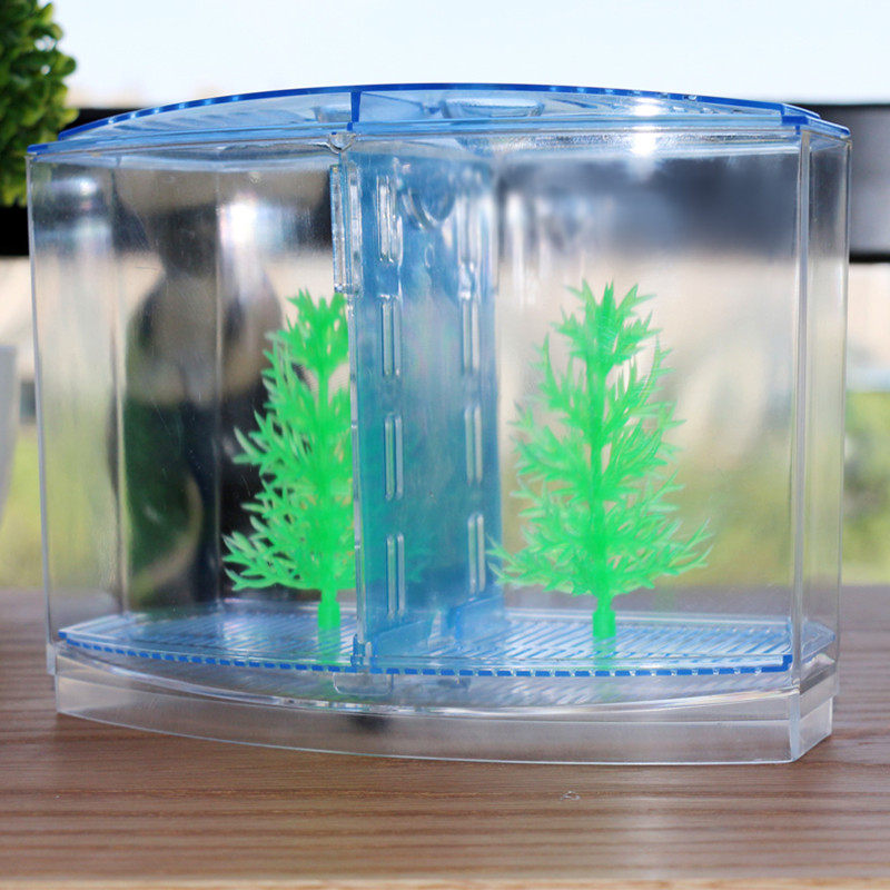 魚を捕まえるための創造的なおもちゃ,分離ボックス,魚と戦うた - Aquarium Fish Keeping のレビューと価格