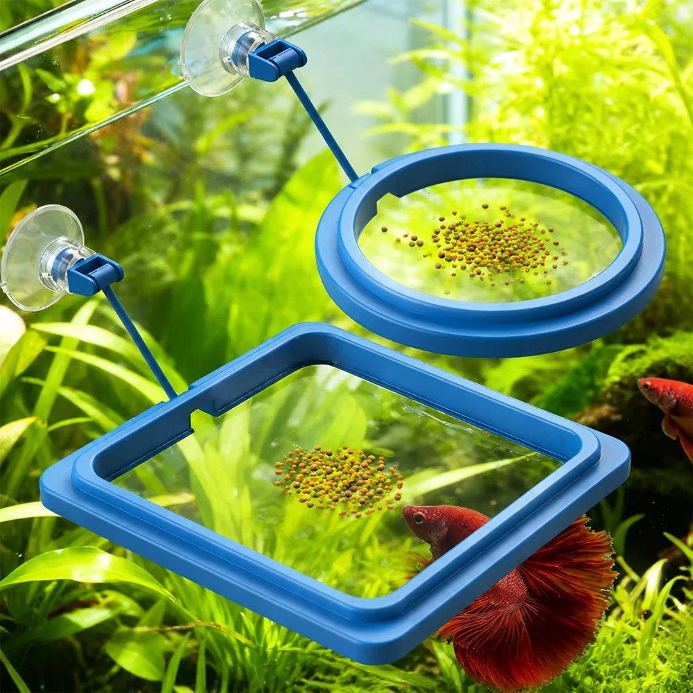 ベタフィッシュフードフローティングミニペレット、水槽用給餌リ - Aquarium Fish Medicine のレビューと価格