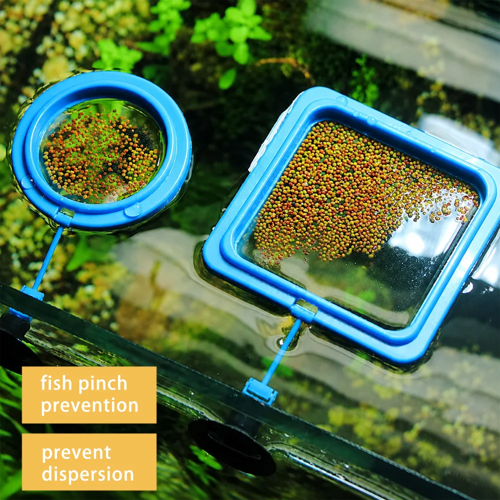 ベタフィッシュフードフローティングミニペレット、水槽用給餌リ - Aquarium Fish Medicine のレビューと価格