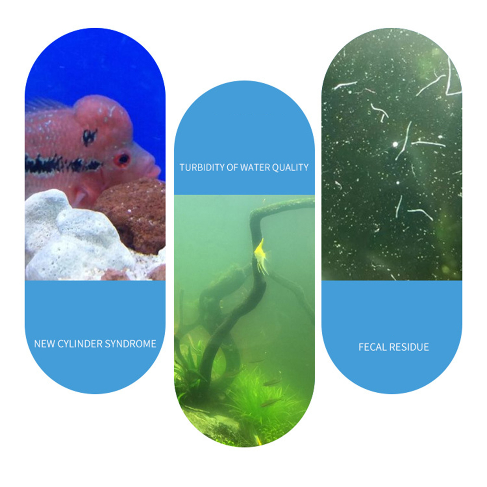 水槽硝化細菌粉末バイオフィルタースターターパウダー（淡水水槽 - Aquarium Fish Medicine のレビューと価格