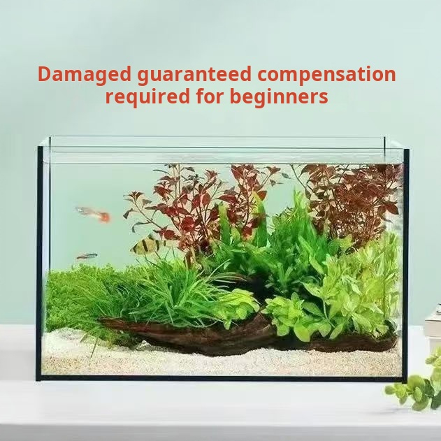 超透明大型長方形ガラス水槽 カスタム容量 電力220v 環境 - Aquarium Fish Keeping のレビューと価格