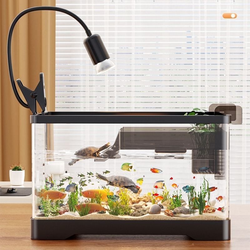 アクリル製水槽 超透明 生態系水槽 透明プラスチック製 卓上 - Aquarium Fish Live のレビューと価格