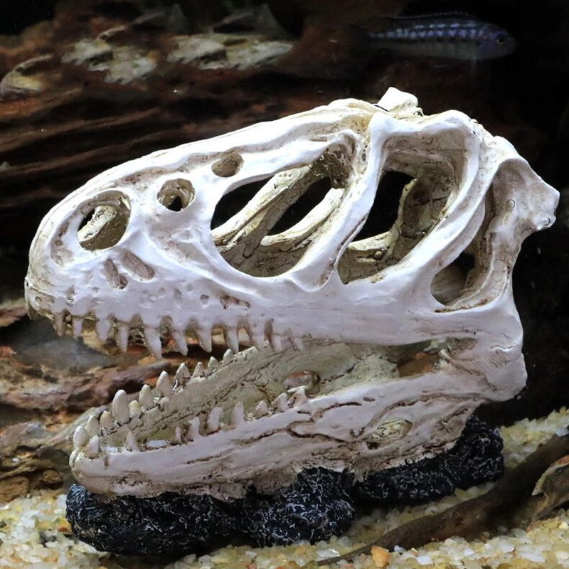 装飾的な樹脂の水槽,恐竜の頭,頭蓋骨の装飾,工芸品,ハロウィ - Aquarium Fish Popular のレビューと価格