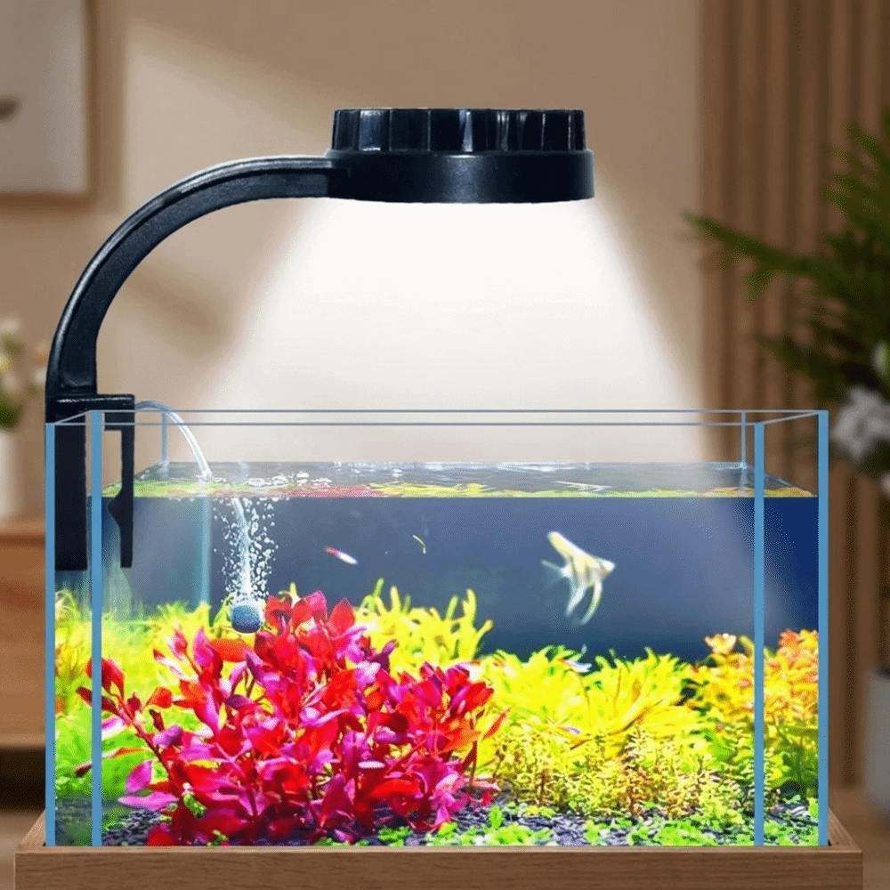 高輝度水槽クリップランプ ミニクリップライト 省エネLED水 - Aquarium Fish Keeping のレビューと価格