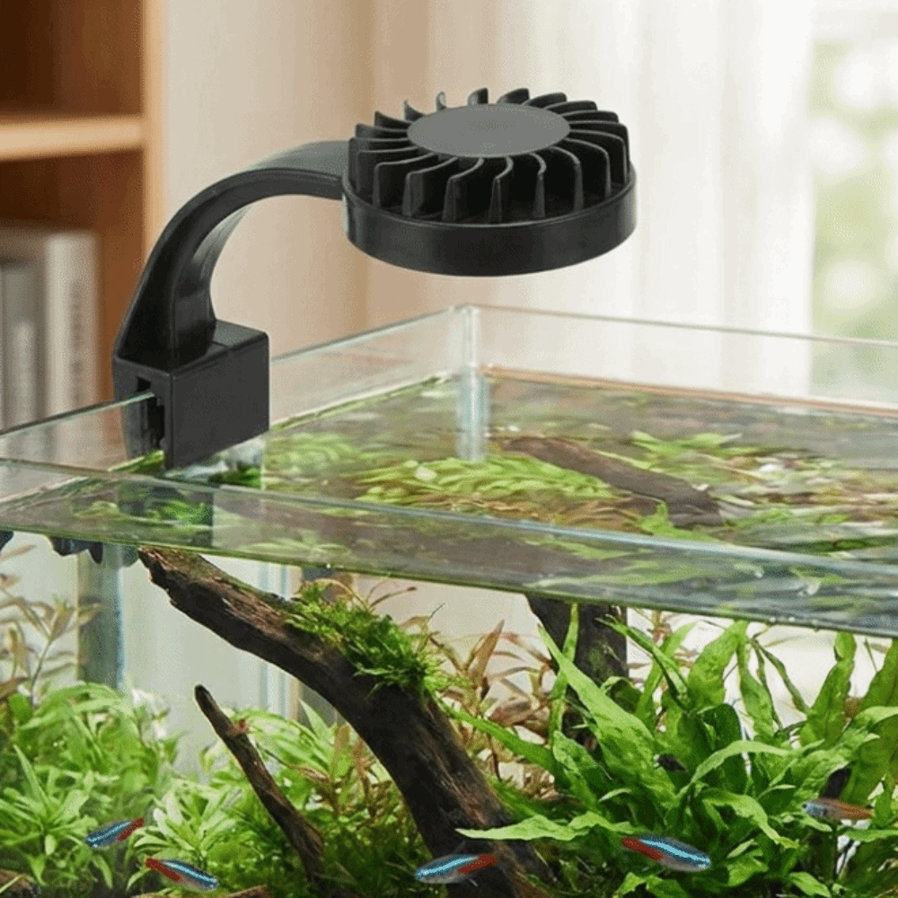 高輝度水槽クリップランプ ミニクリップライト 省エネLED水 - Aquarium Fish Keeping のレビューと価格