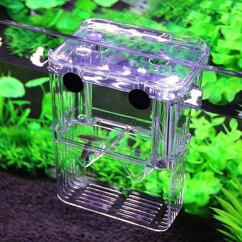 多機能水槽 高透明魚繁殖隔離ボックス 水槽用繁殖器 ダブルグ - Aquarium Fish Medicine のレビューと価格