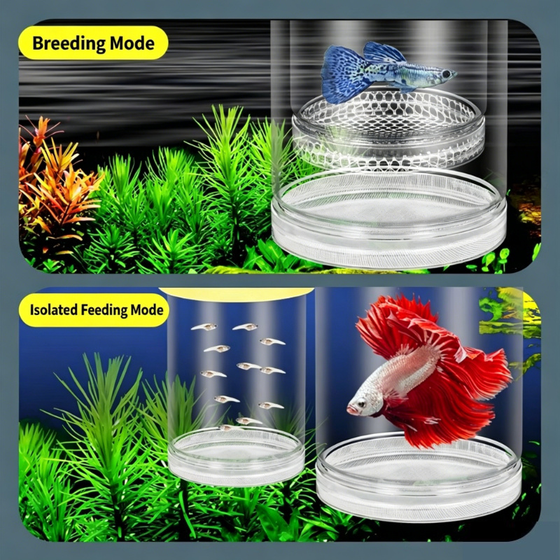 透明なフローティングアクアリウム孵化ボックス、グッピー、ゼブ - Aquarium Fish Medicine のレビューと価格