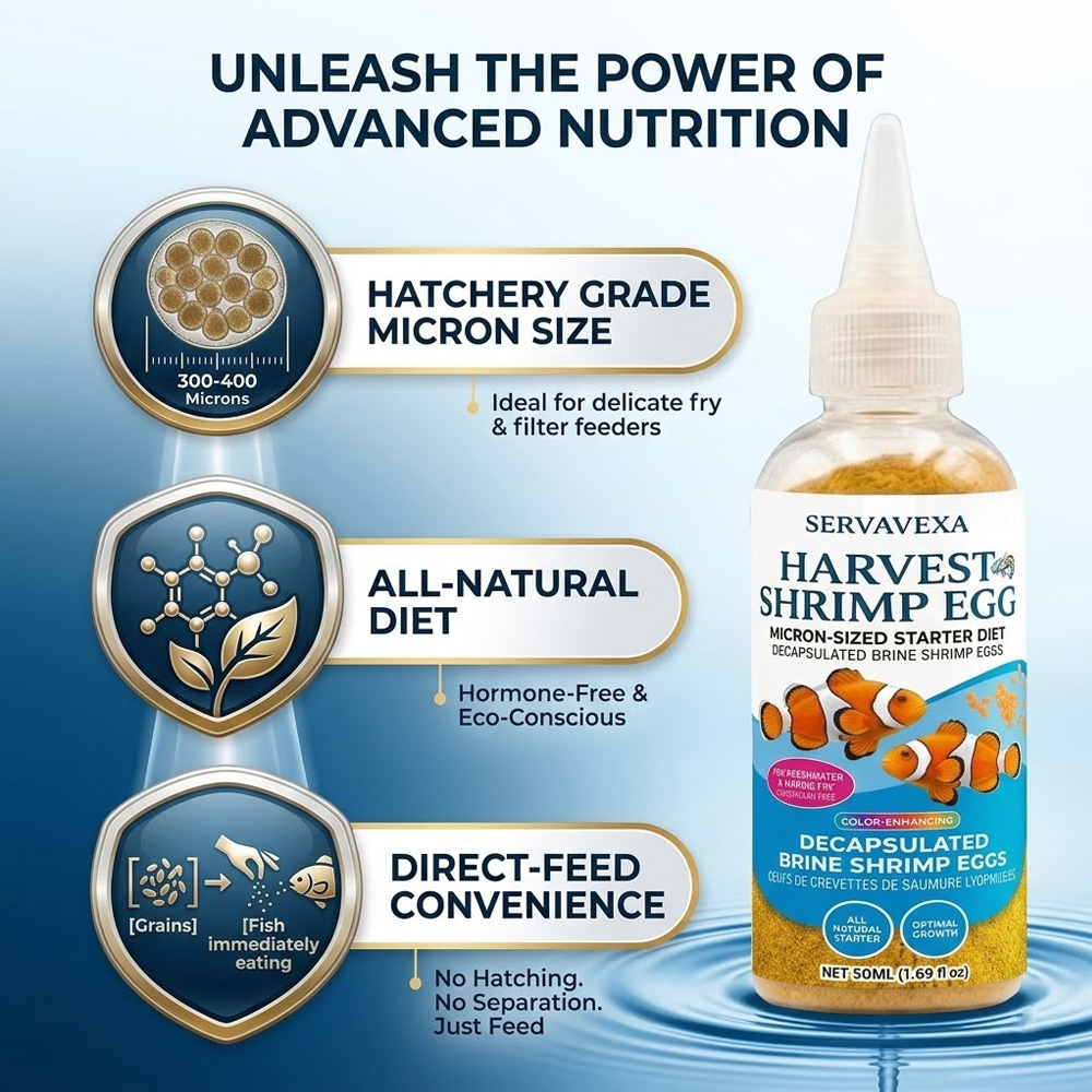 ベタ・グッピー稚魚用高タンパク質魚飼料 プレミアム水槽用飼料 - Aquarium Fish Medicine のレビューと価格