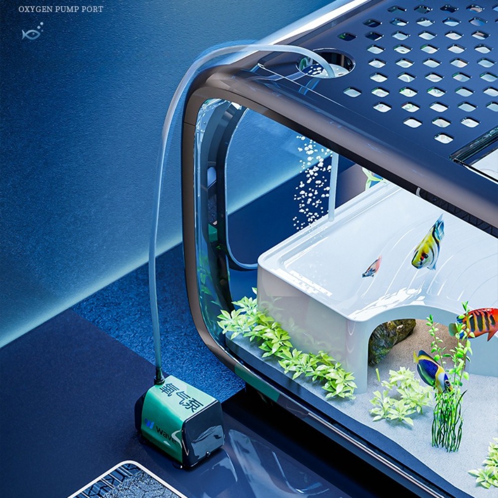 透明な高級水槽、耐久性のあるリビングルーム装飾、小型金魚水槽 - Aquarium Fish Live のレビューと価格