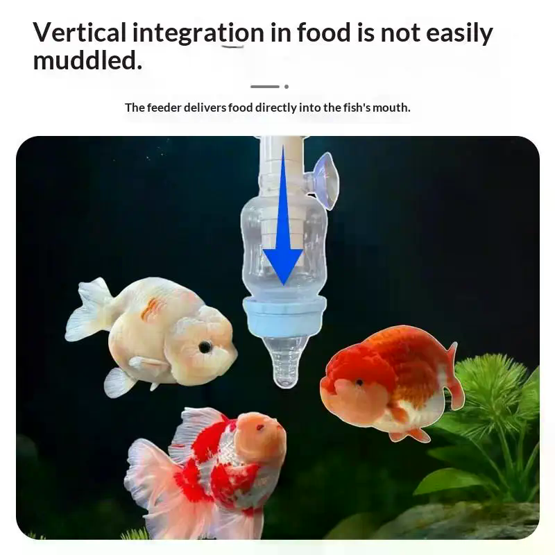 人気の精密魚用給餌器、固定点水槽給餌ツール、濁水なし小型水槽 - Aquarium Fish Popular のレビューと価格